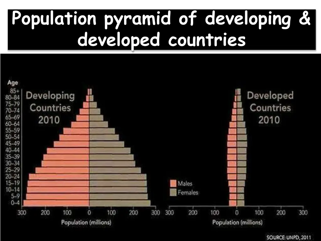 population pyramid of developing developed