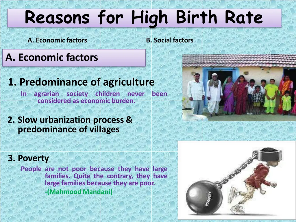 reasons for high birth rate