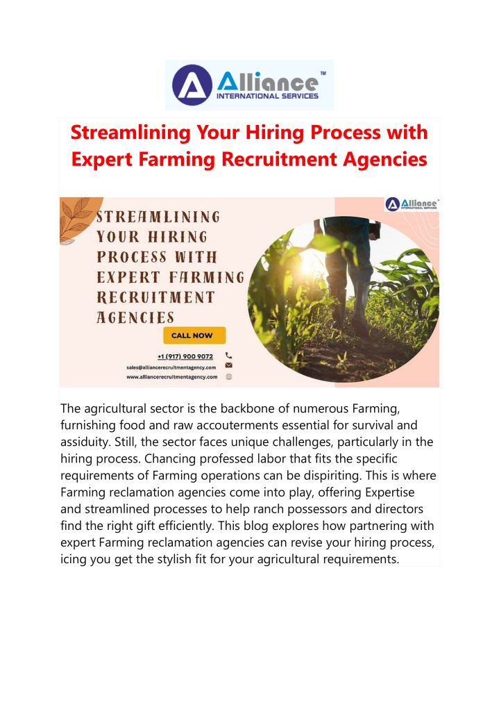 streamlining your hiring process with expert