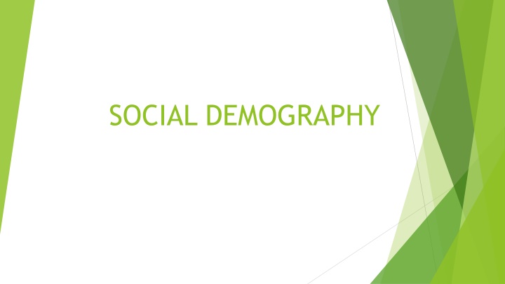 social demography