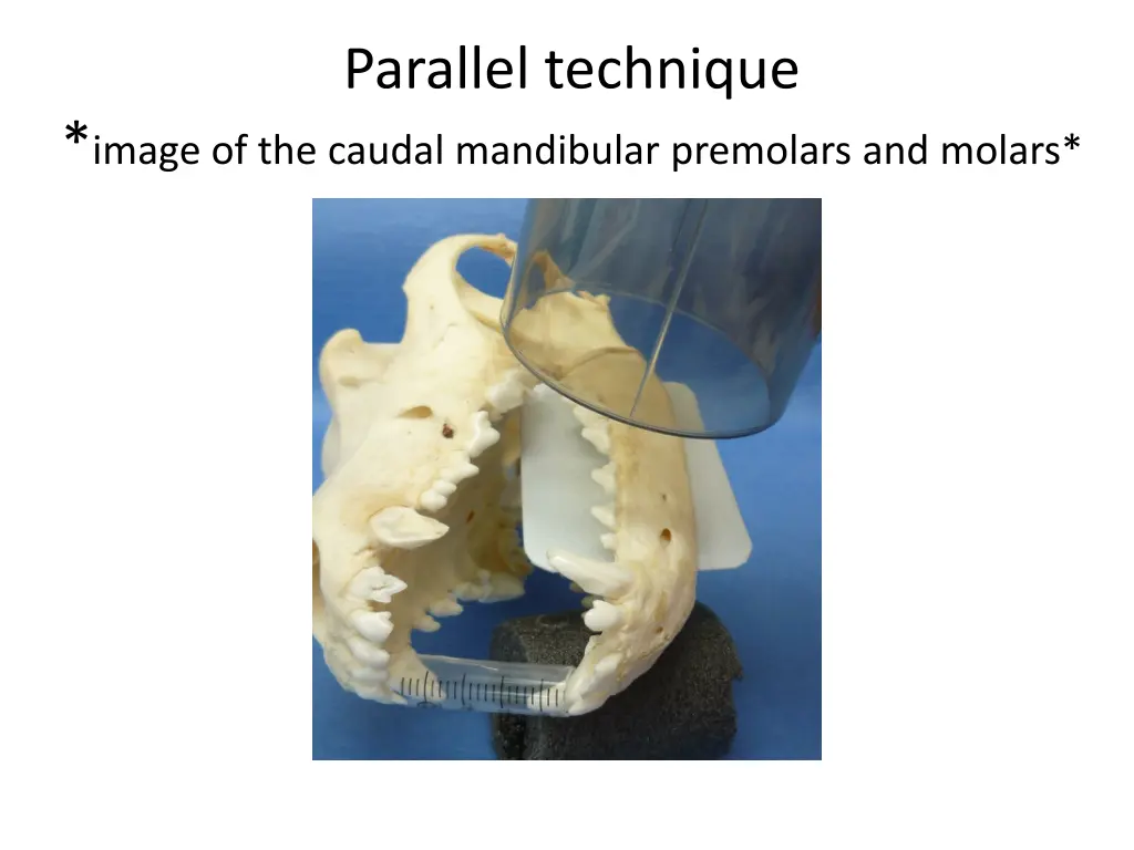 parallel technique