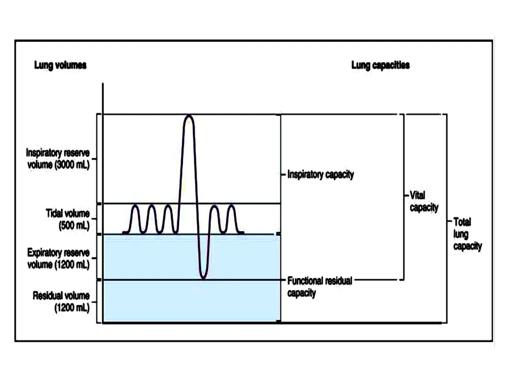 slide14