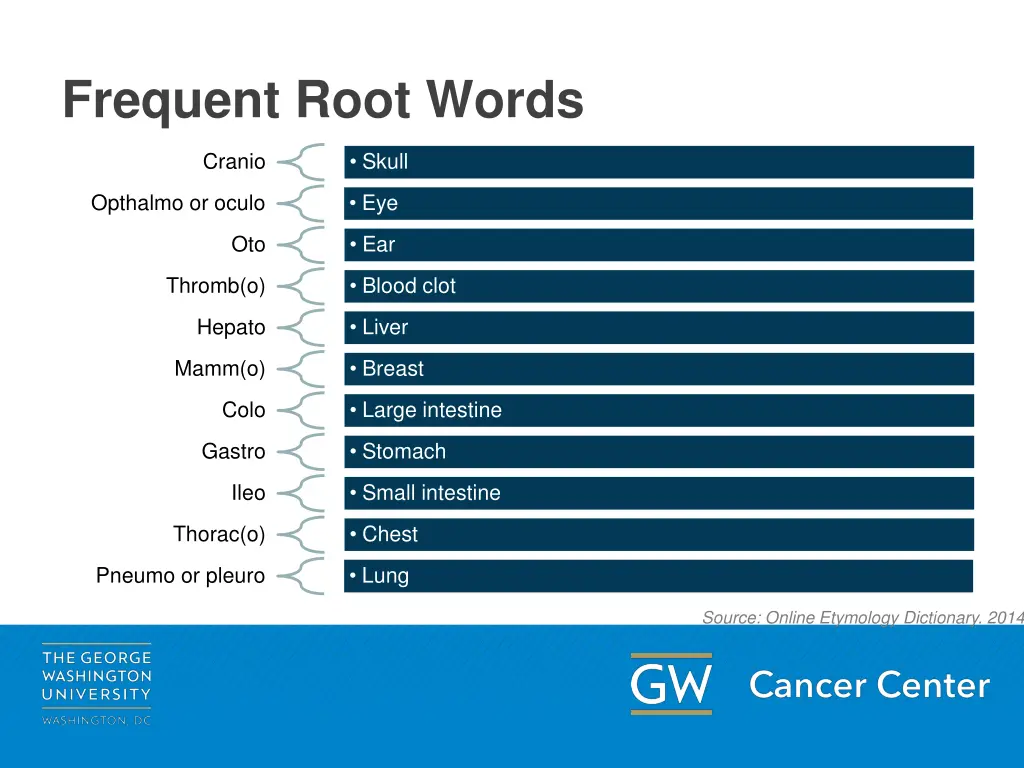 frequent root words 1