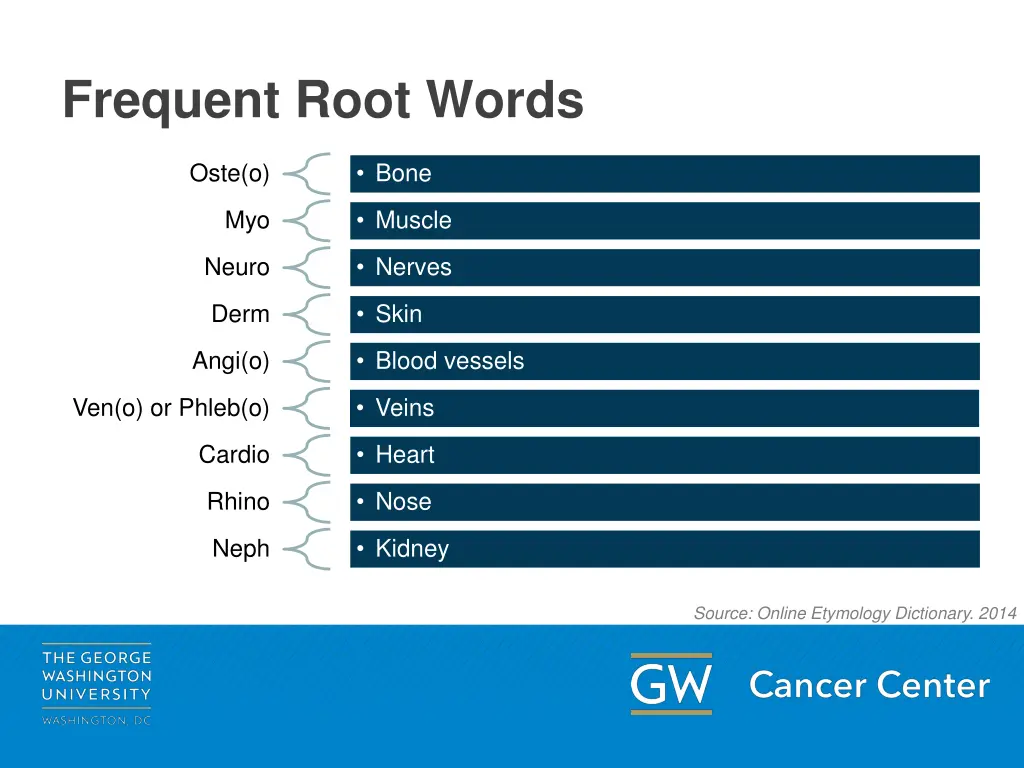 frequent root words