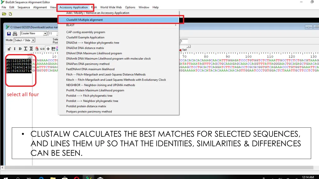 clustalw calculates the best matches for selected