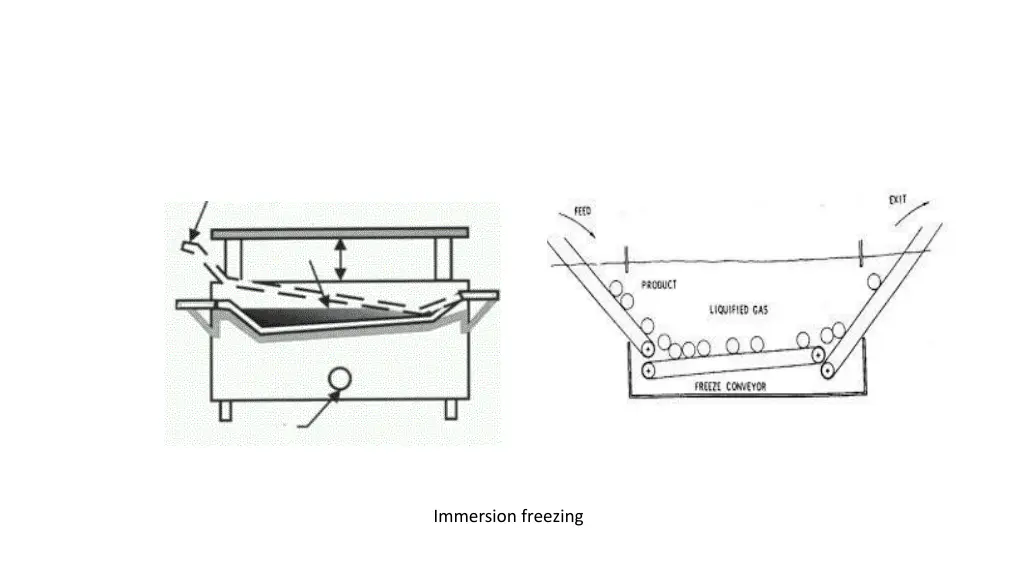 immersion freezing