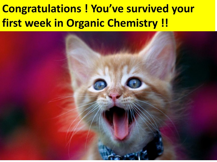 congratulations you ve survived your first week