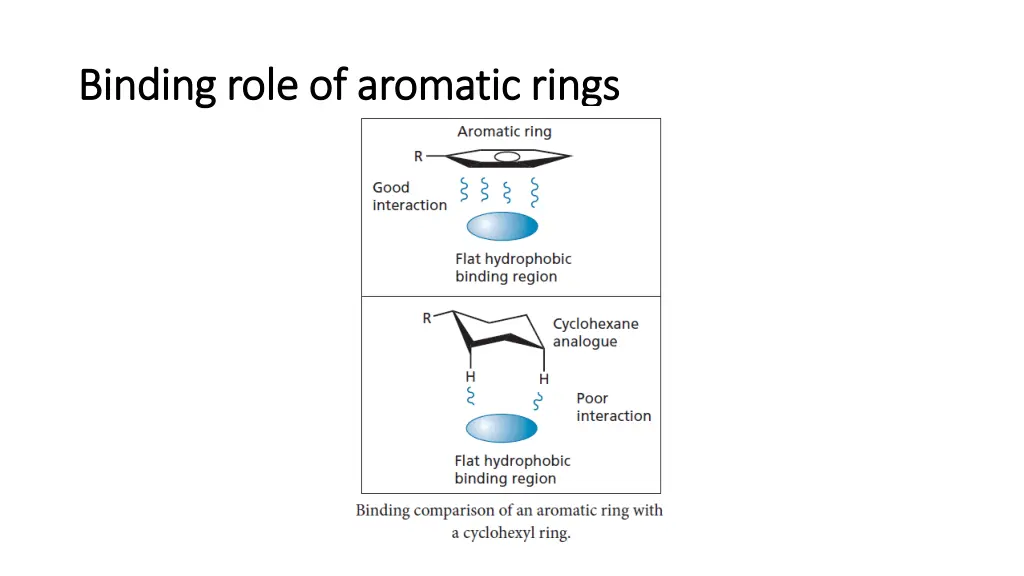 binding role of aromatic rings binding role 1