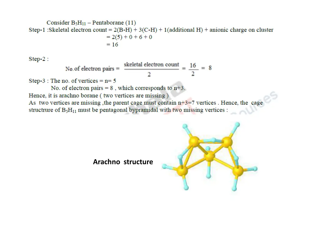 arachno structure