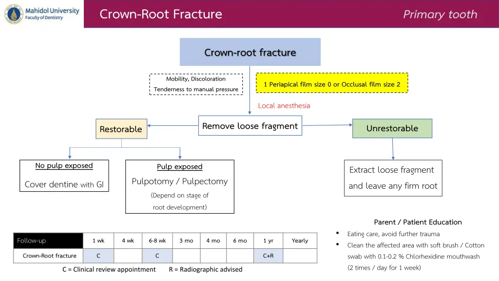 crown root fracture