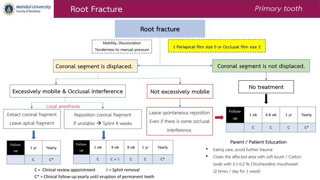 root fracture