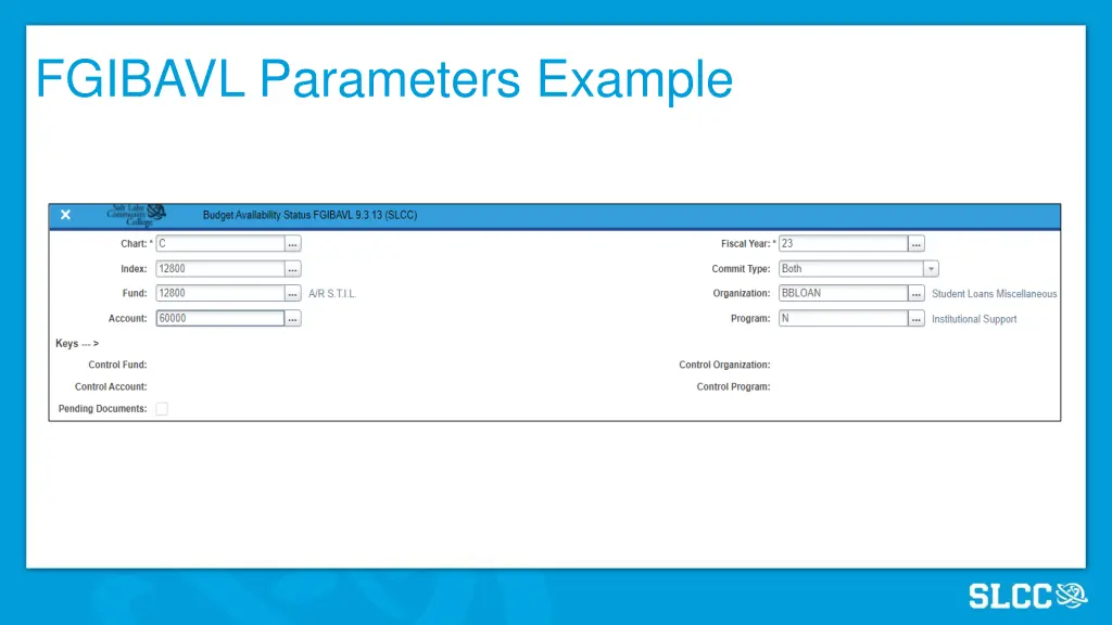 fgibavl parameters example