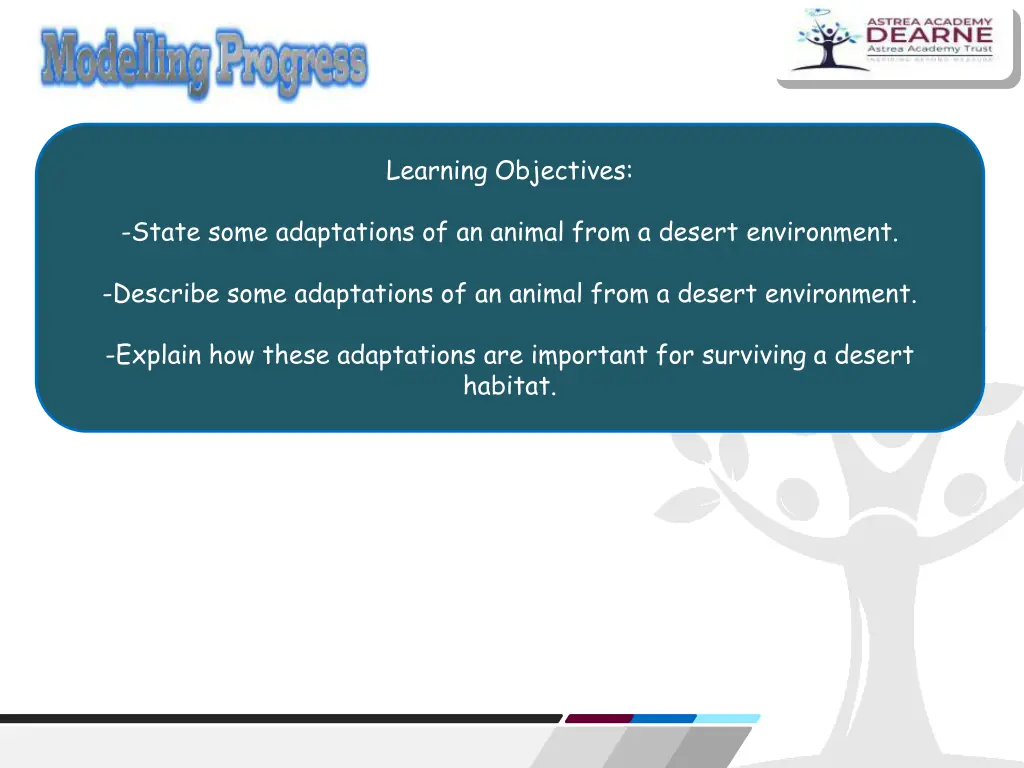 learning objectives