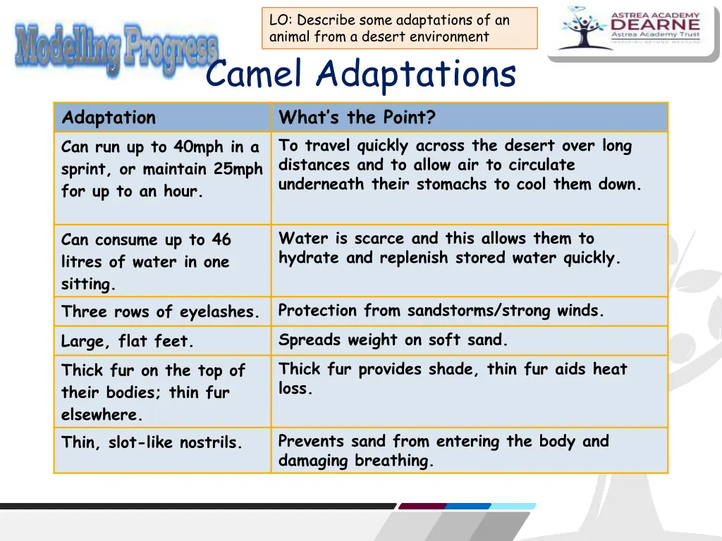 lo describe some adaptations of an animal from 5