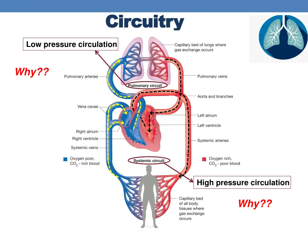 circuitry circuitry