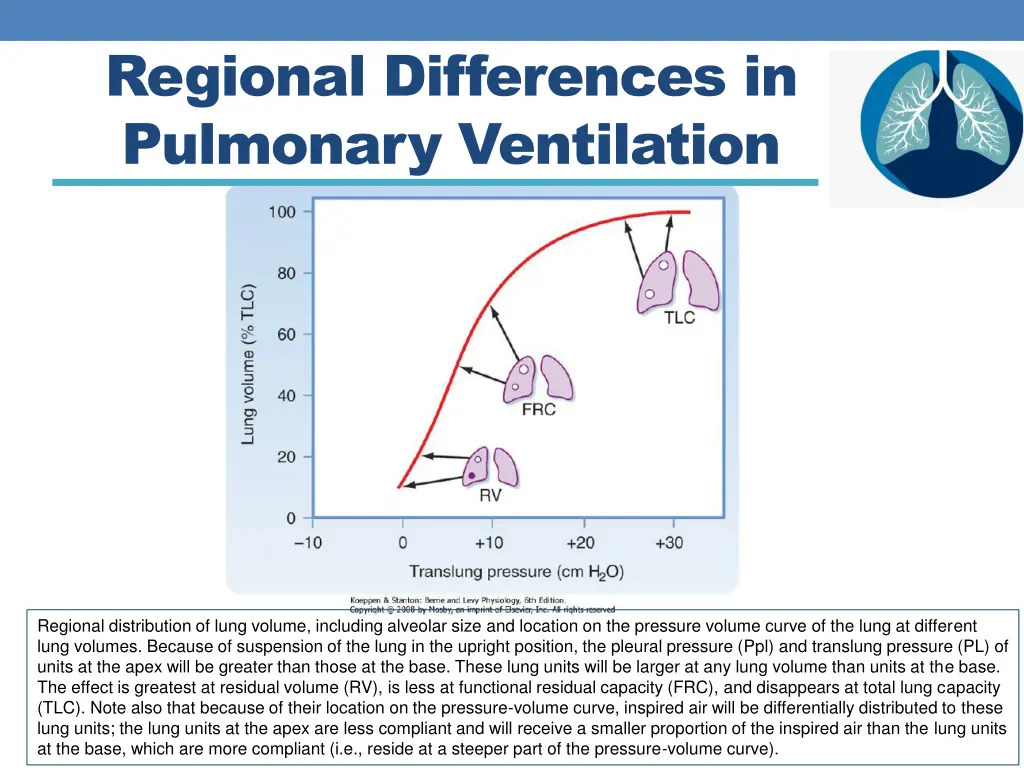 regional differences in pulmonary ventilation