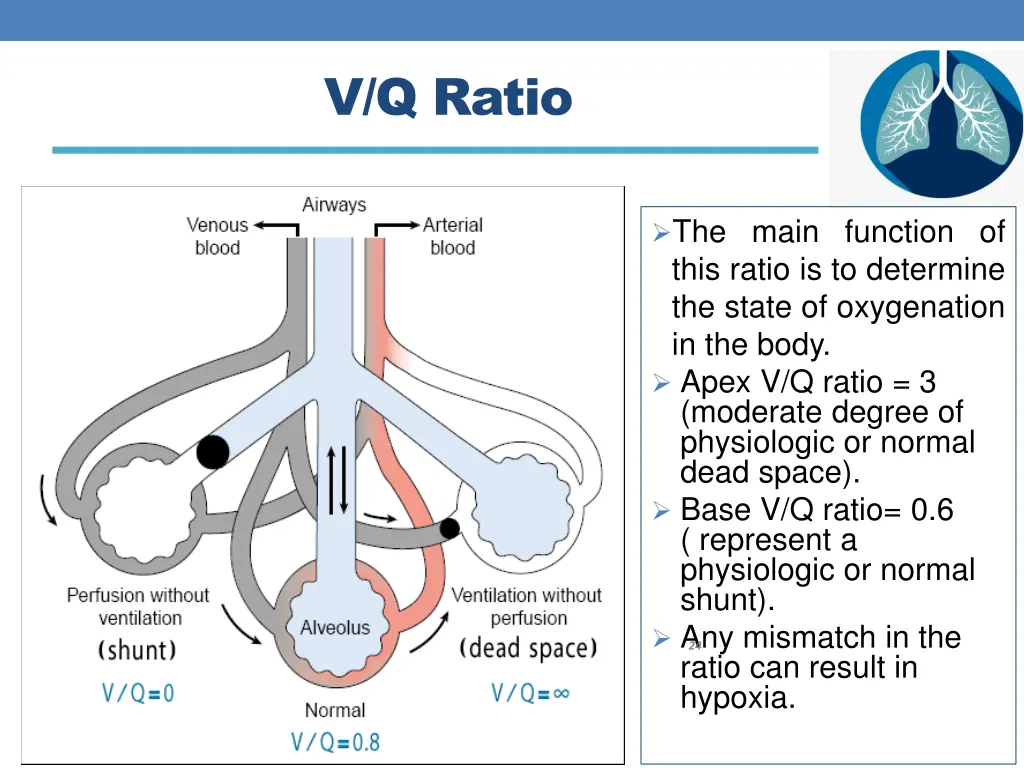 v q ratio