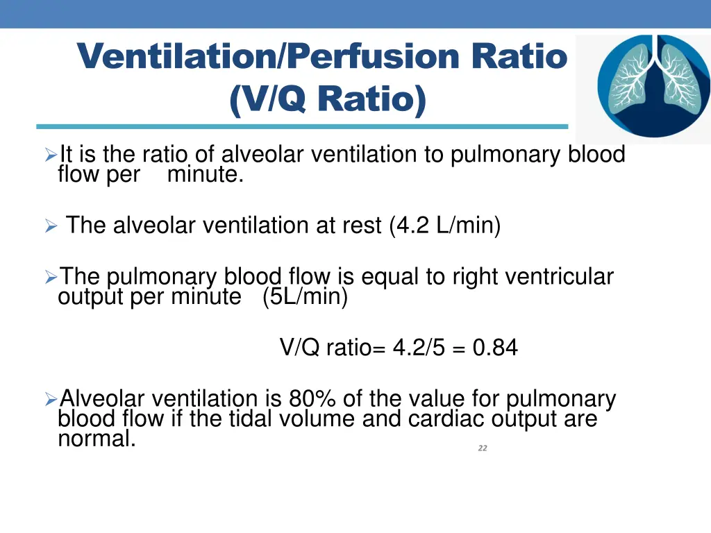 ventilation perfusion ratio v q ratio