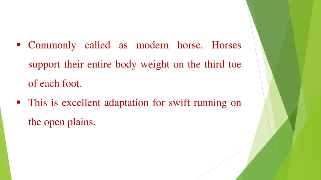 commonly called as modern horse horses