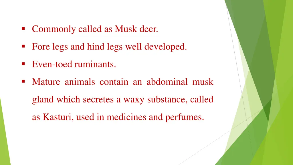 commonly called as musk deer