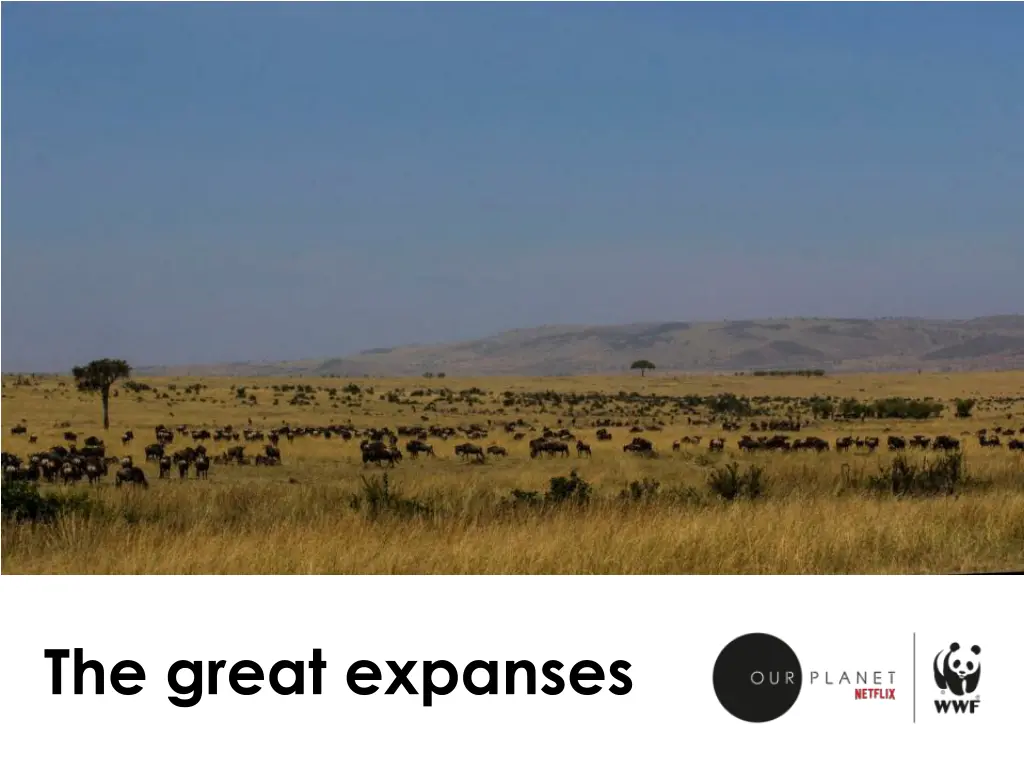 the great expanses