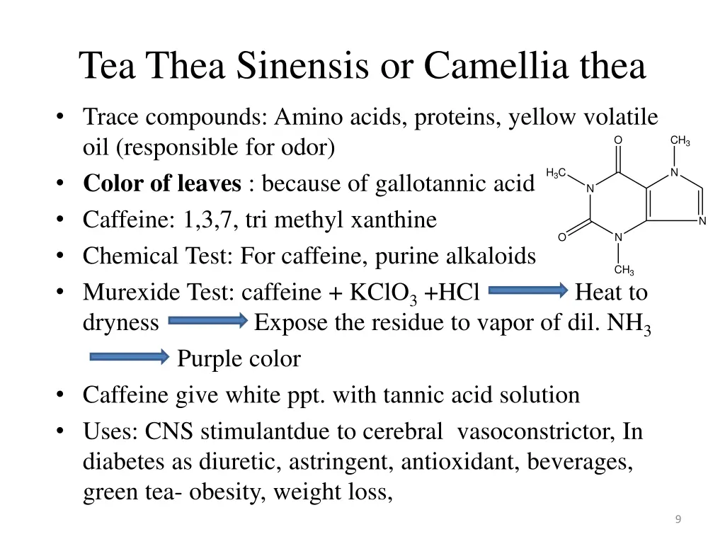 tea thea sinensis or camellia thea 1