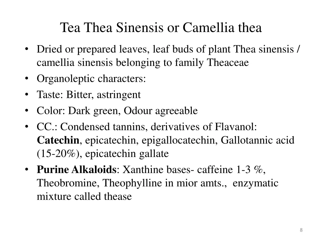 tea thea sinensis or camellia thea