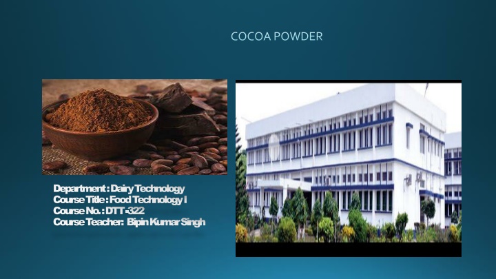 cocoa powder