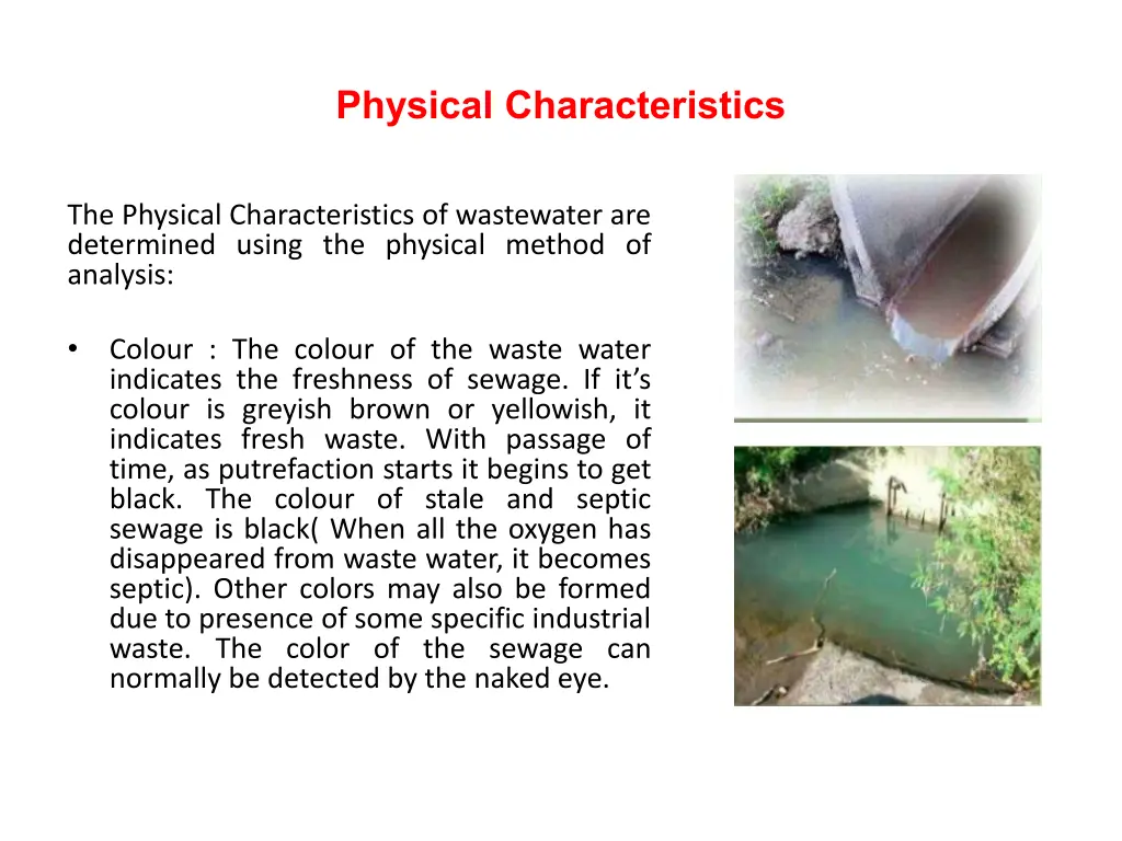 physical characteristics 1