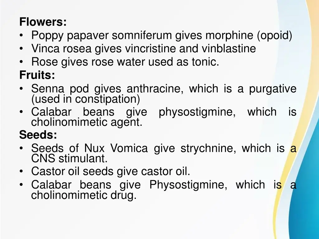 flowers poppy papaver somniferum gives morphine