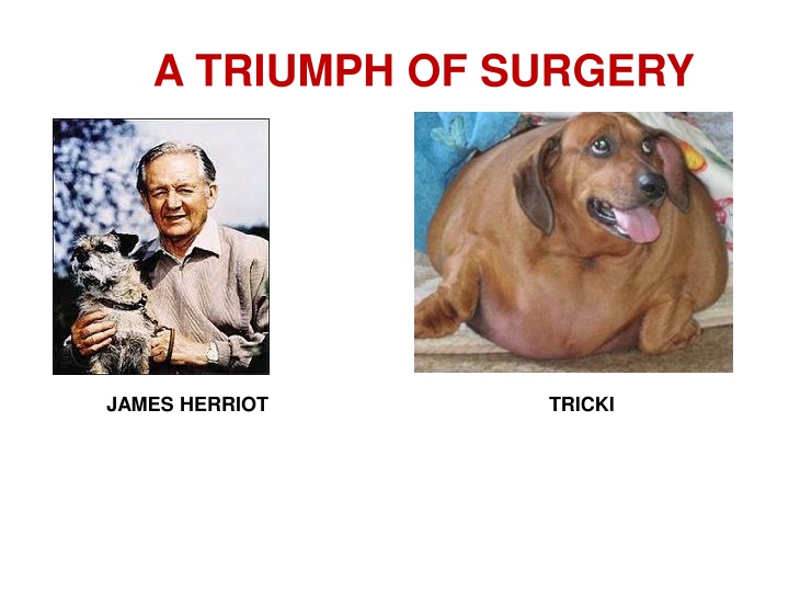 a triumph of surgery