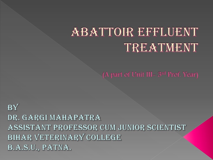 abattoir effluent treatment