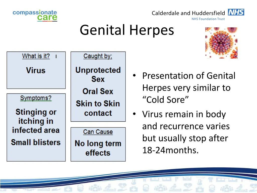 genital herpes