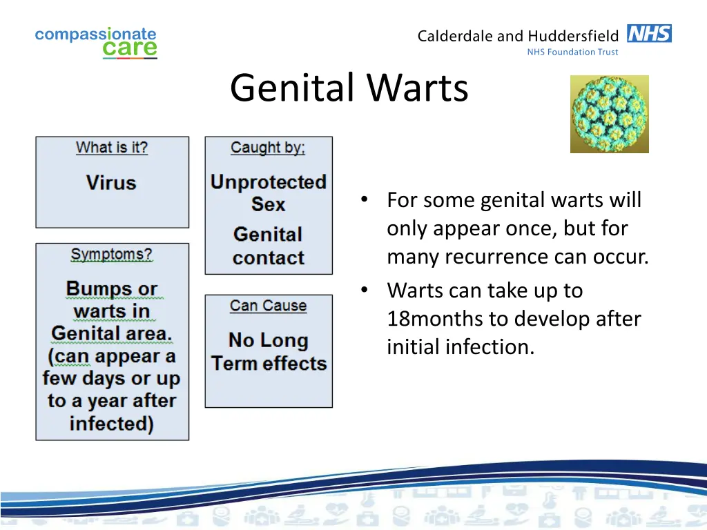 genital warts