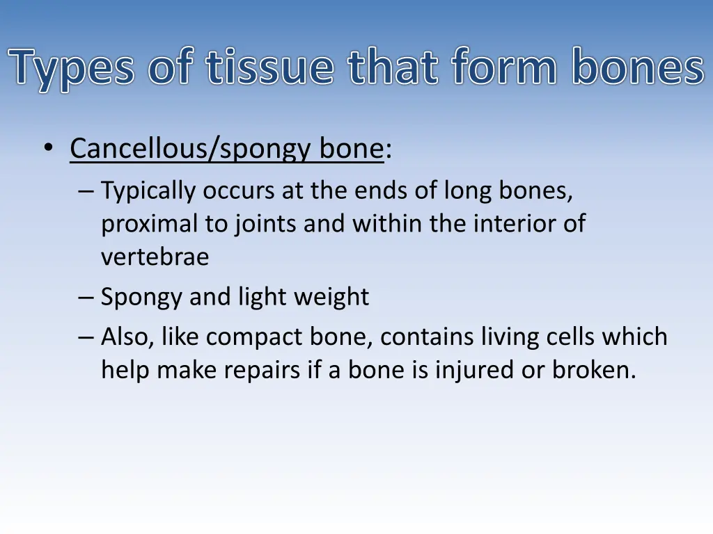 types of tissue that form bones 1