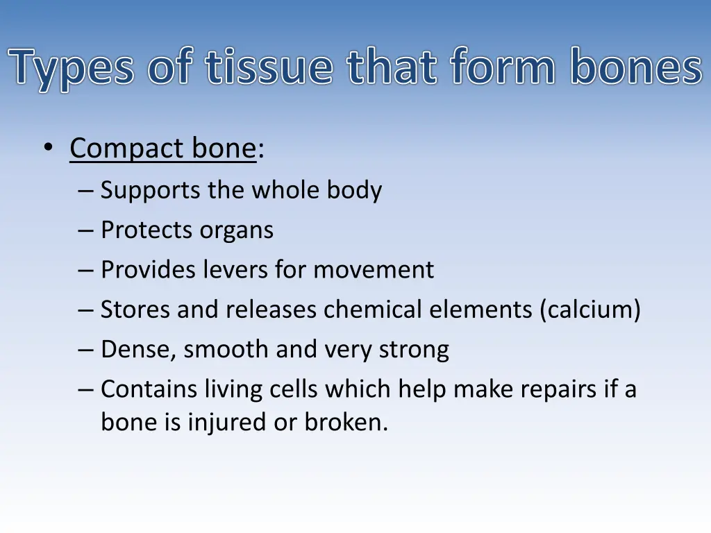 types of tissue that form bones