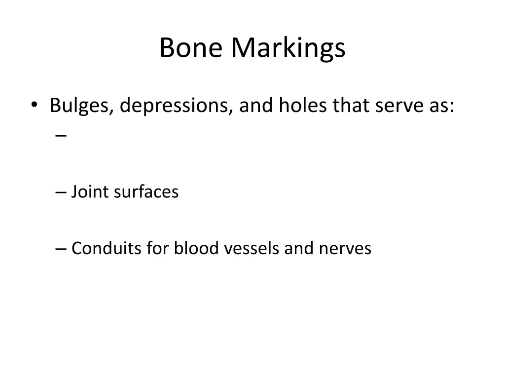 bone markings