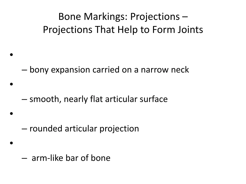 bone markings projections projections that help