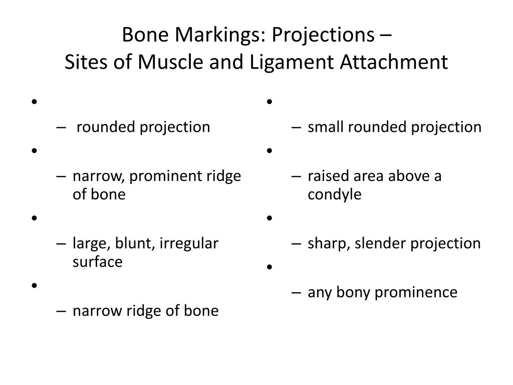 bone markings projections sites of muscle