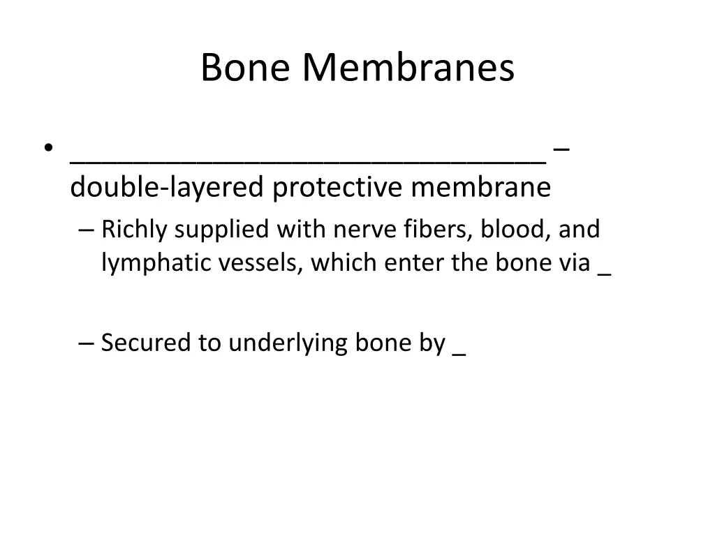 bone membranes