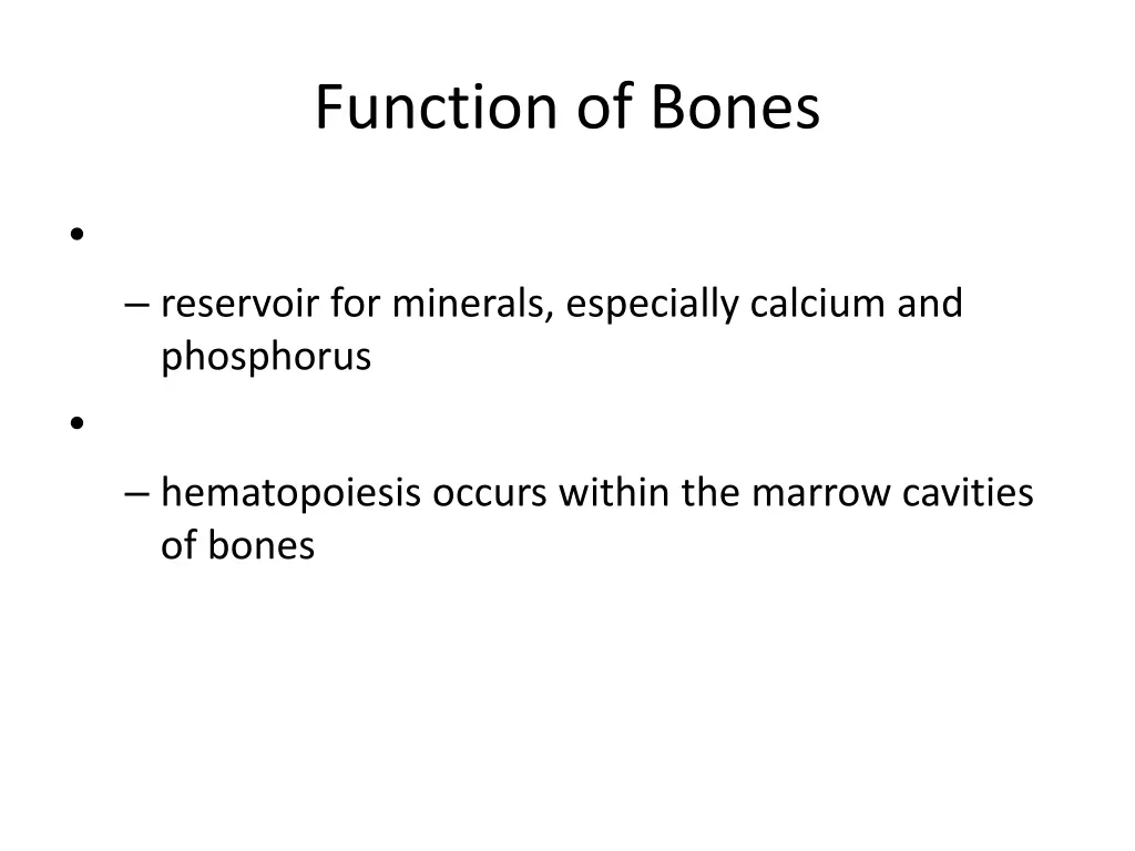 function of bones 1