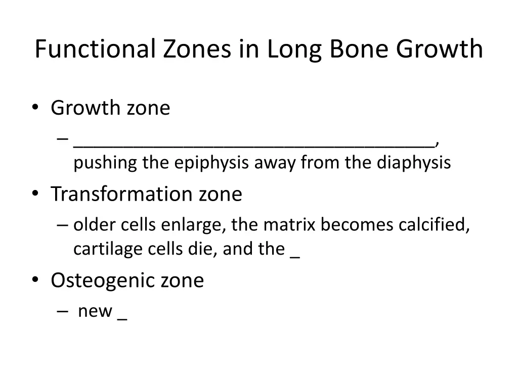 functional zones in long bone growth