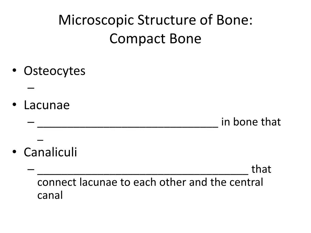 microscopic structure of bone compact bone 1