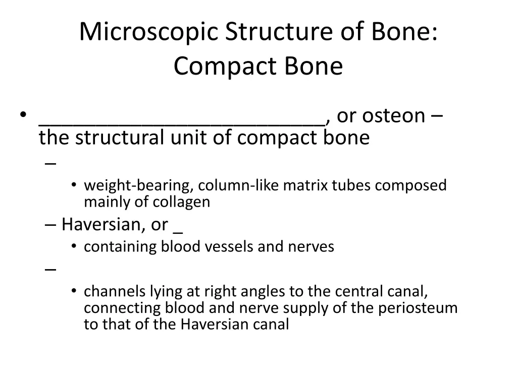 microscopic structure of bone compact bone