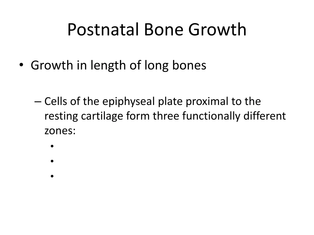 postnatal bone growth