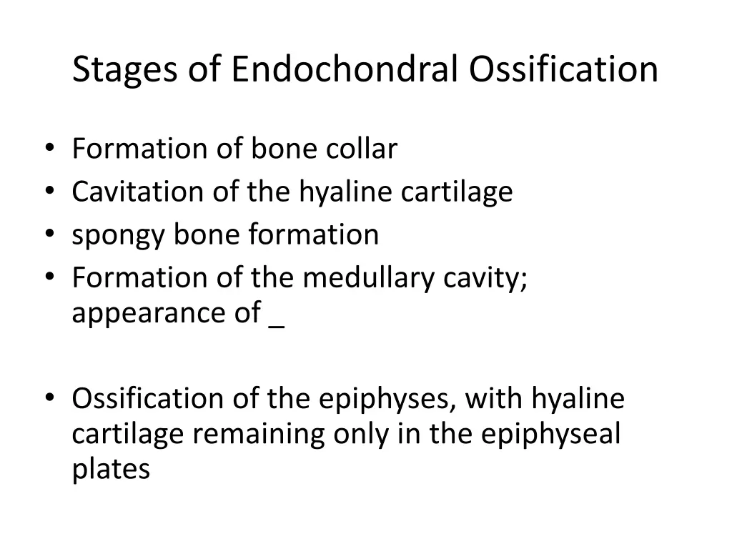 stages of endochondral ossification