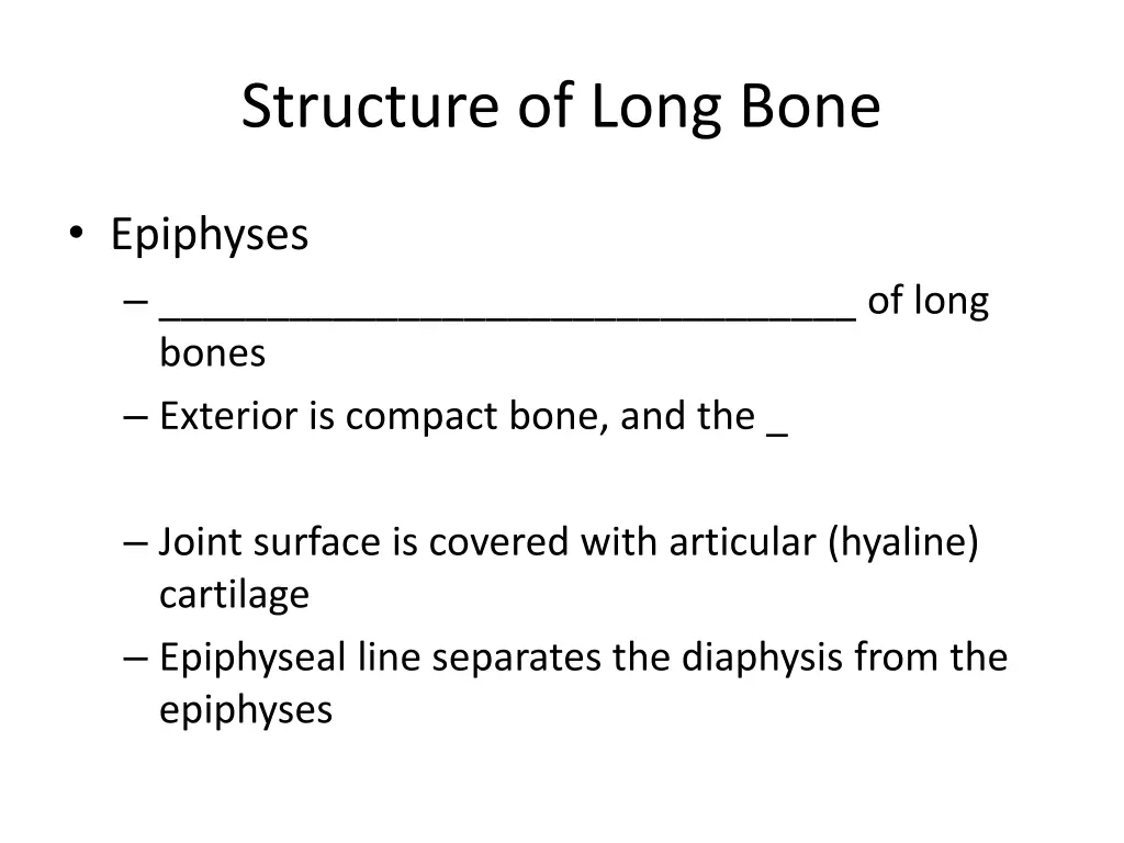 structure of long bone 1