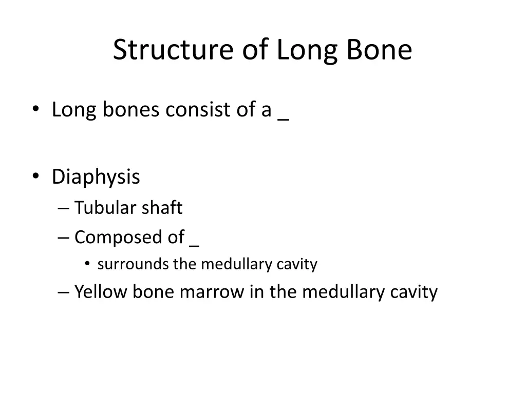 structure of long bone