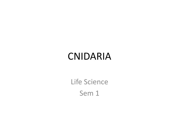 cnidaria