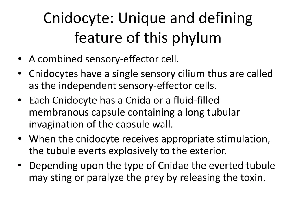 cnidocyte unique and defining feature of this